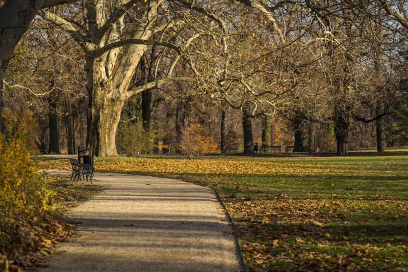 Zabytkowy park w stylu angielskim